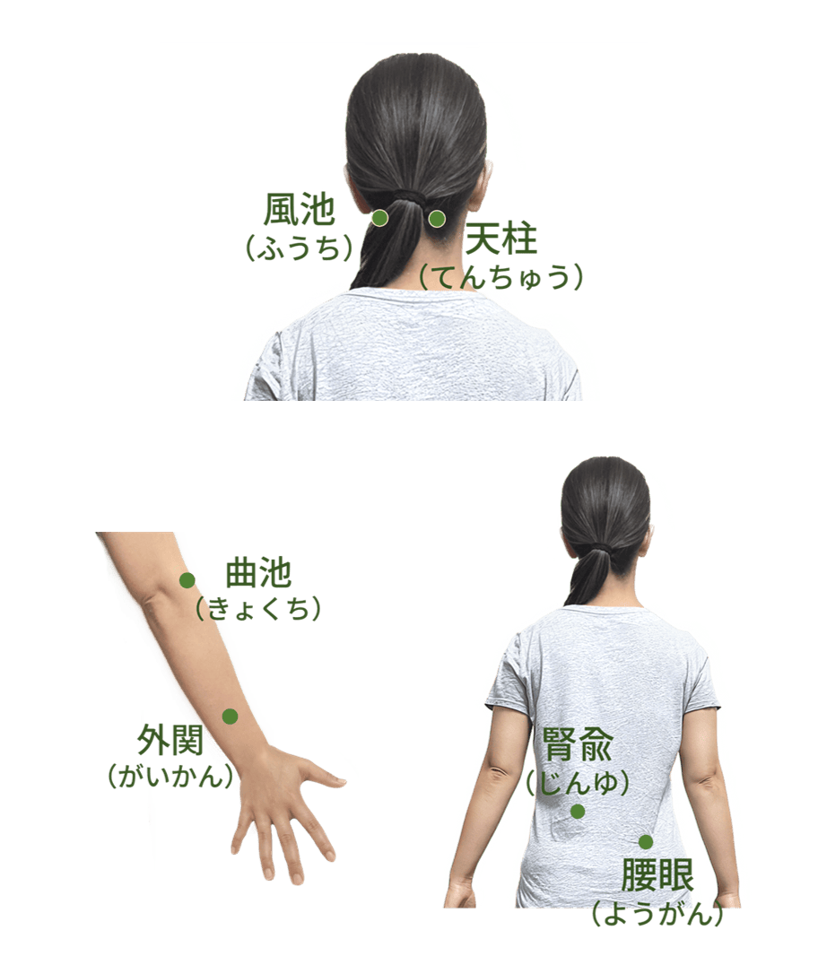 天柱・風池
曲池・外関
腎兪・腰眼