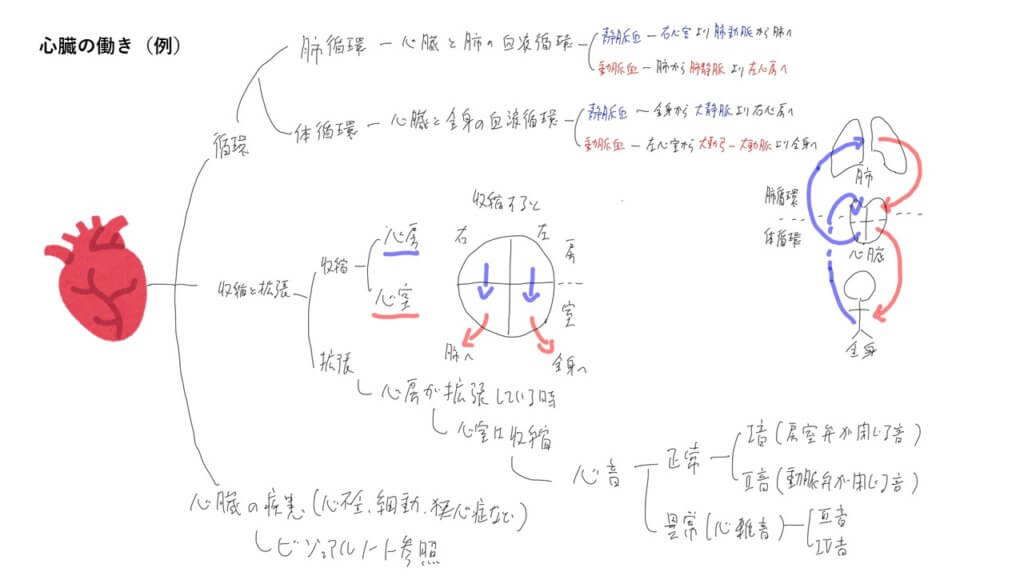 心臓 マインドマップ形式