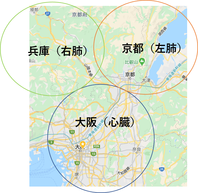 心臓と肺 例