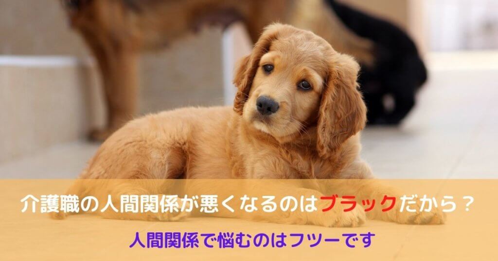 介護の仕事】“退職する理由”1位は人間関係【あたり前です】