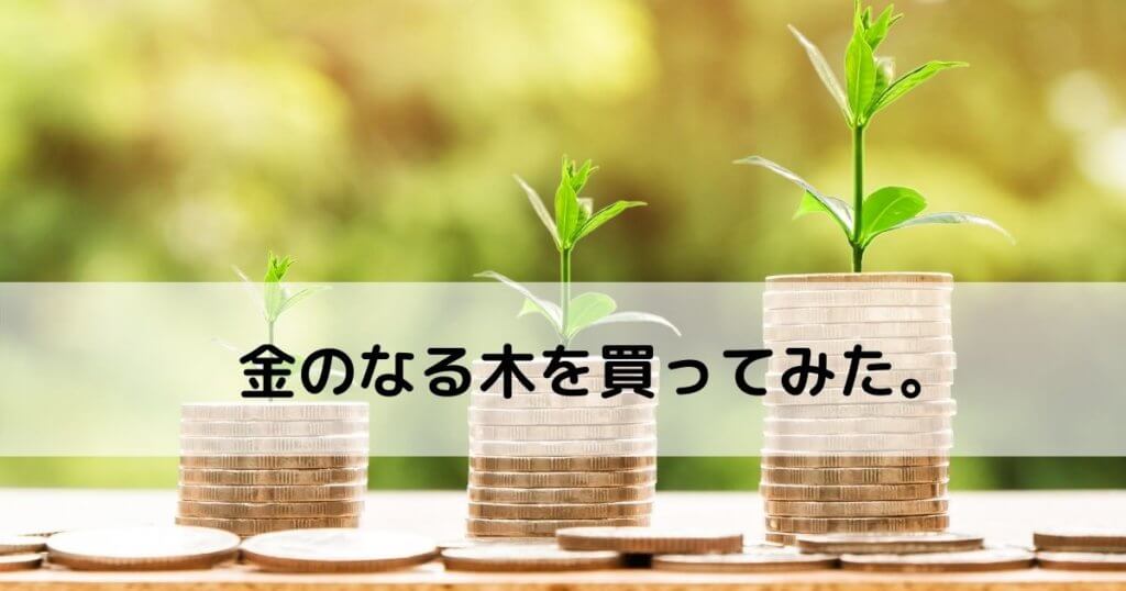 介護の仕事】低所得に悩む人必見?【10日で不労所得1万円を手にした話】